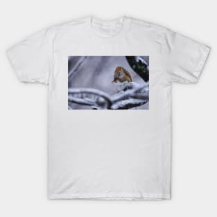 Winter Squrrel T-Shirt